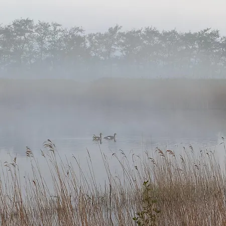 Gæstehus Stolp & 3*
